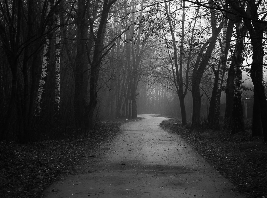 photo "***" tags: landscape, autumn, fog, road