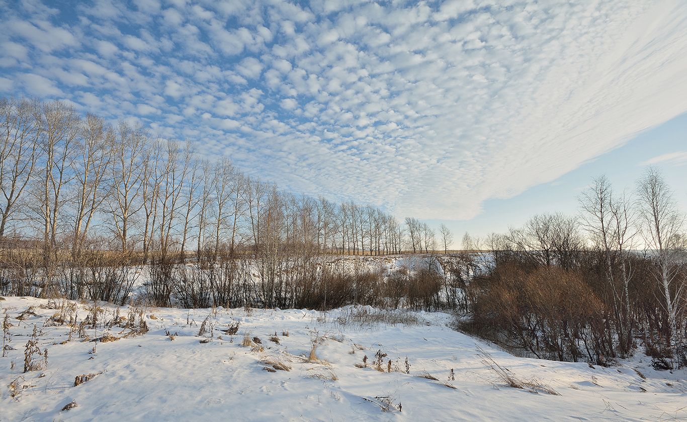 photo "***" tags: landscape, 
