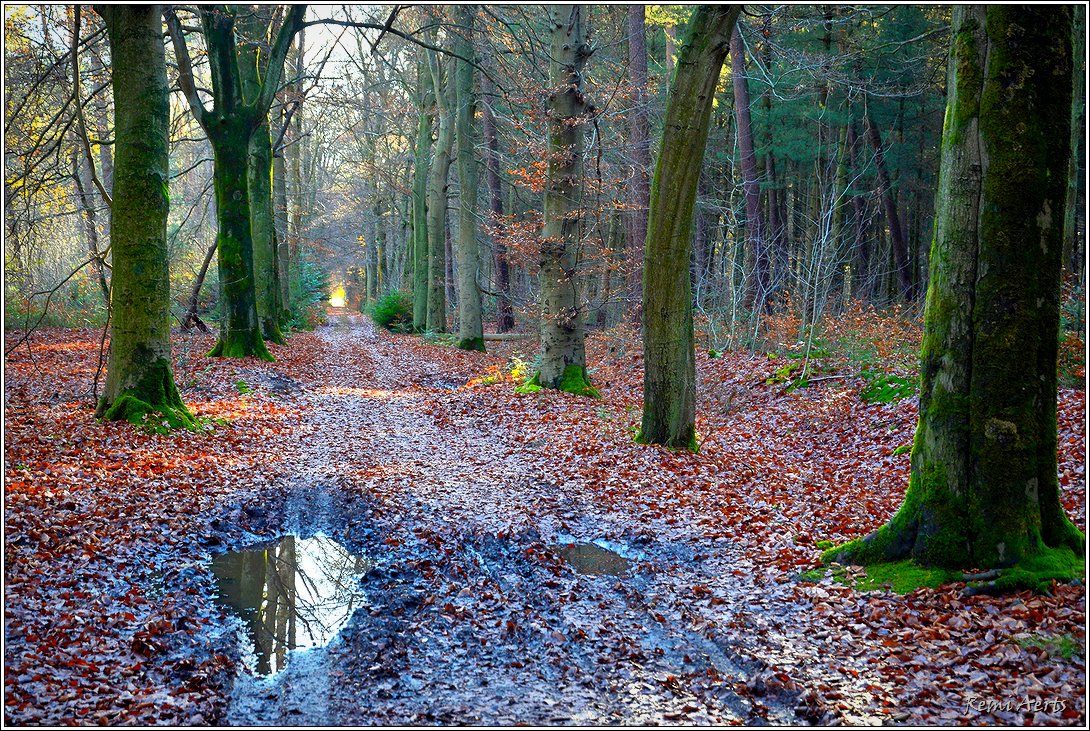 фото "***" метки: пейзаж, природа, 