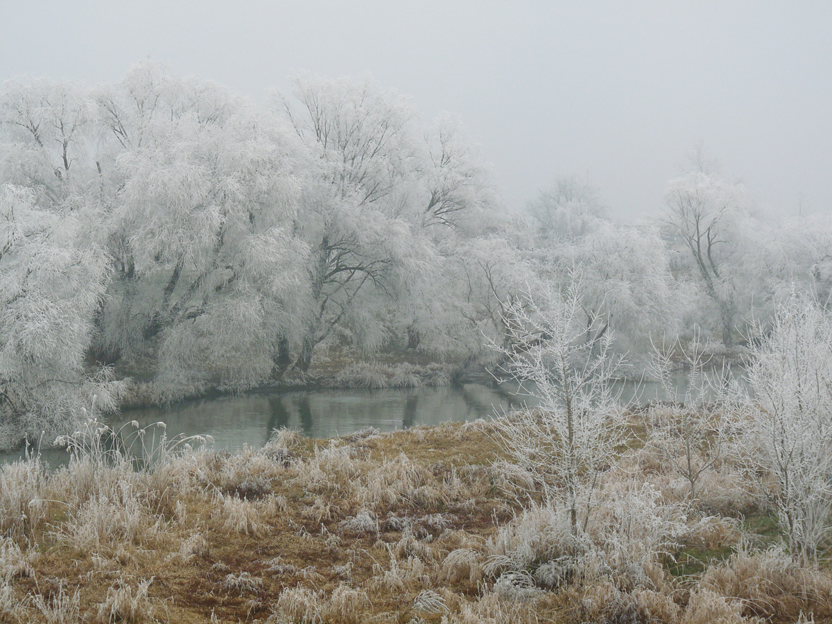 photo "***" tags: nature, winter