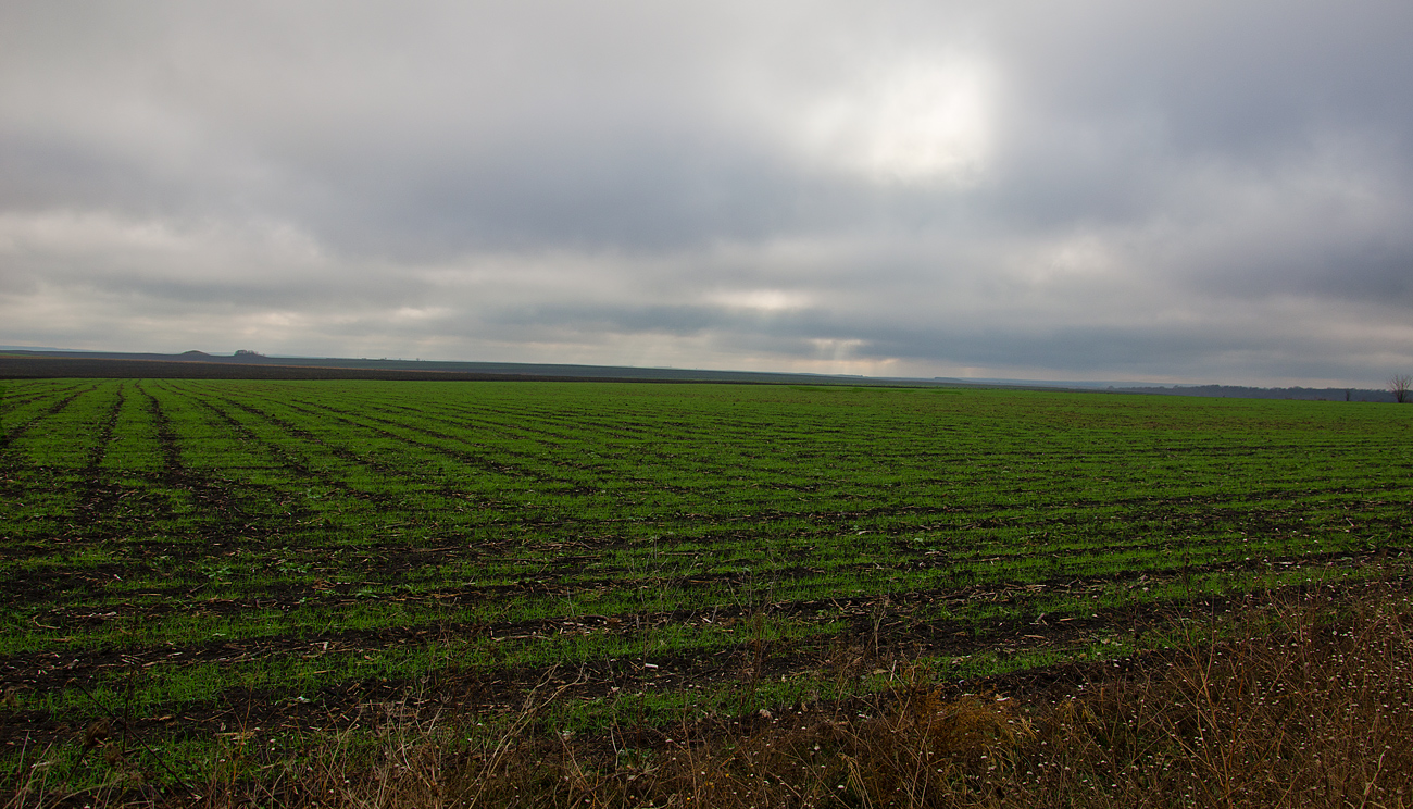 photo "***" tags: nature, landscape, field