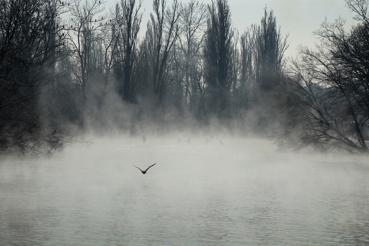 фото "Туманное утро" метки: пейзаж, вода, туман