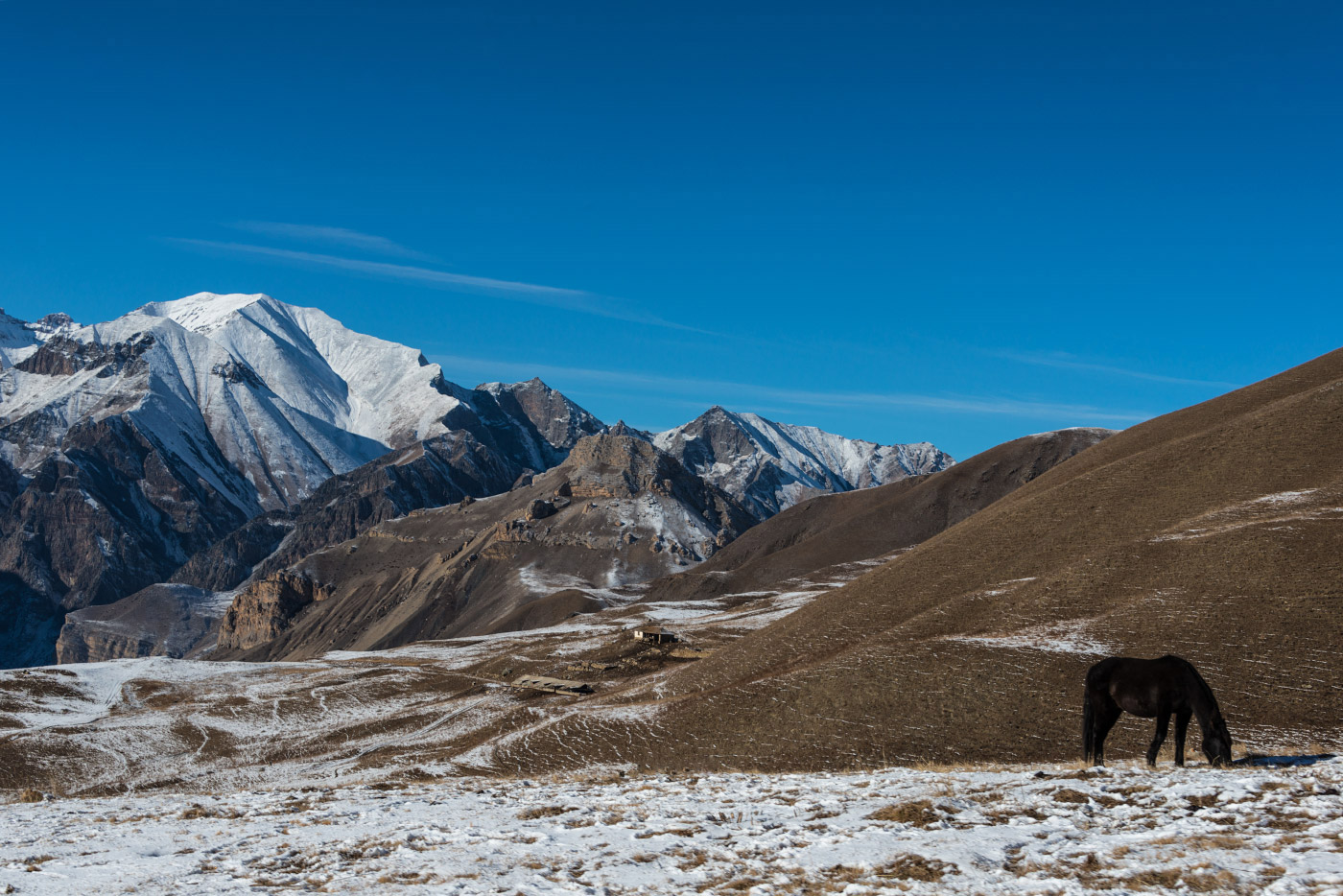 photo "High up in the mountains" tags: landscape, mountains, winter, лошадь