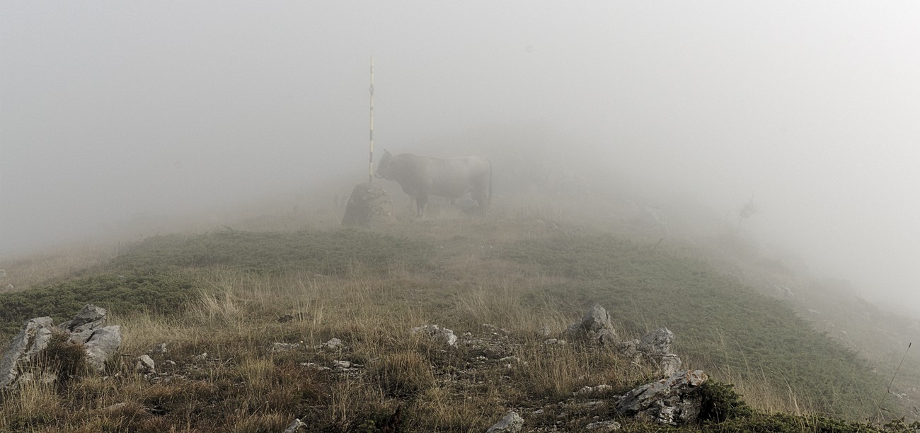 фото "***" метки: , 
