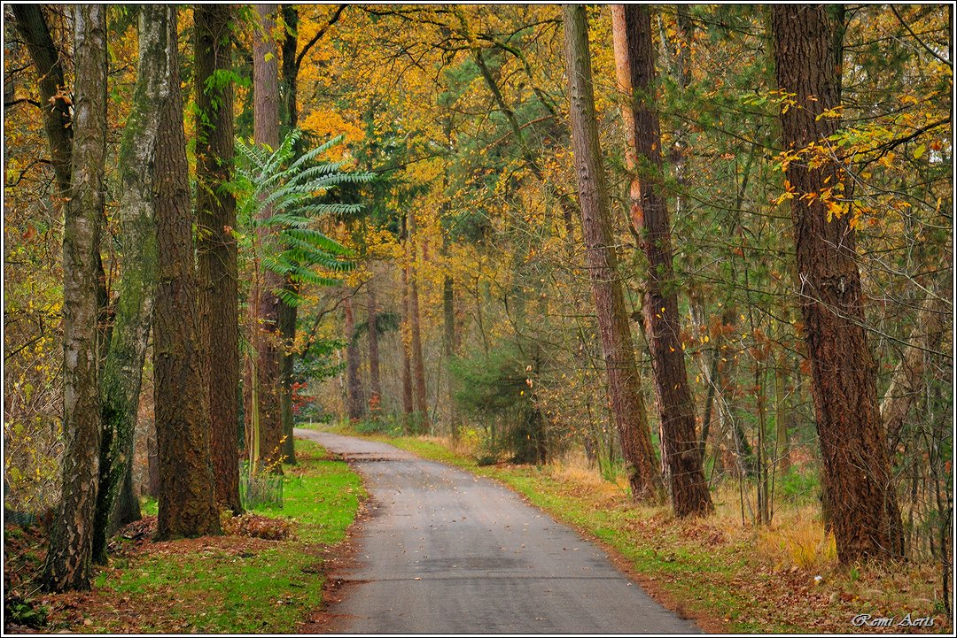 photo "***" tags: landscape, nature, street, 