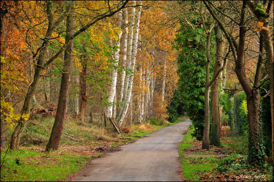 photo "***" tags: landscape, nature, 