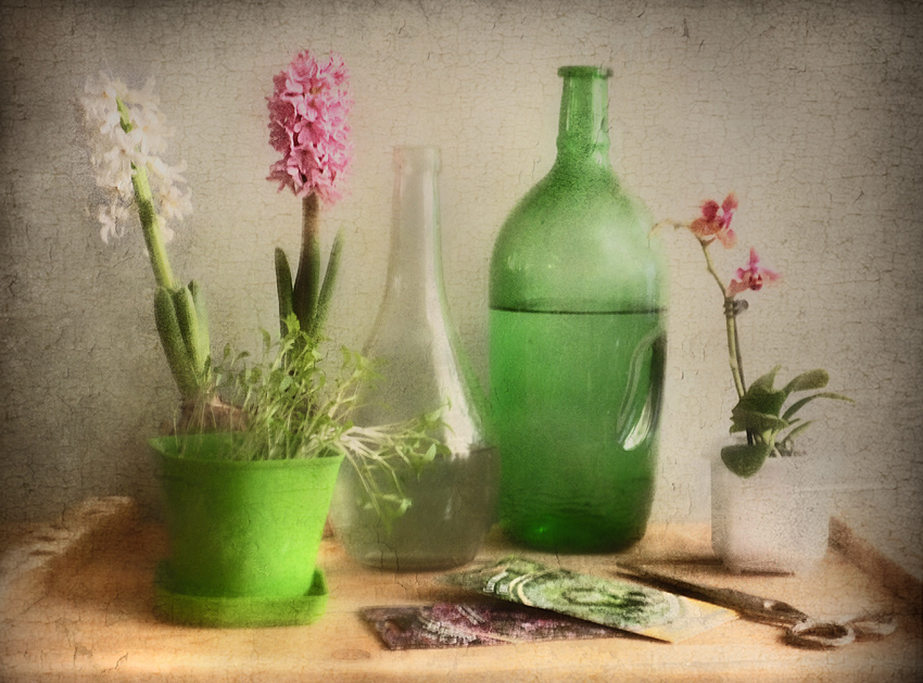 фото "Цветы в горшках и бутылки с водой" метки: натюрморт, бутылки, цветы