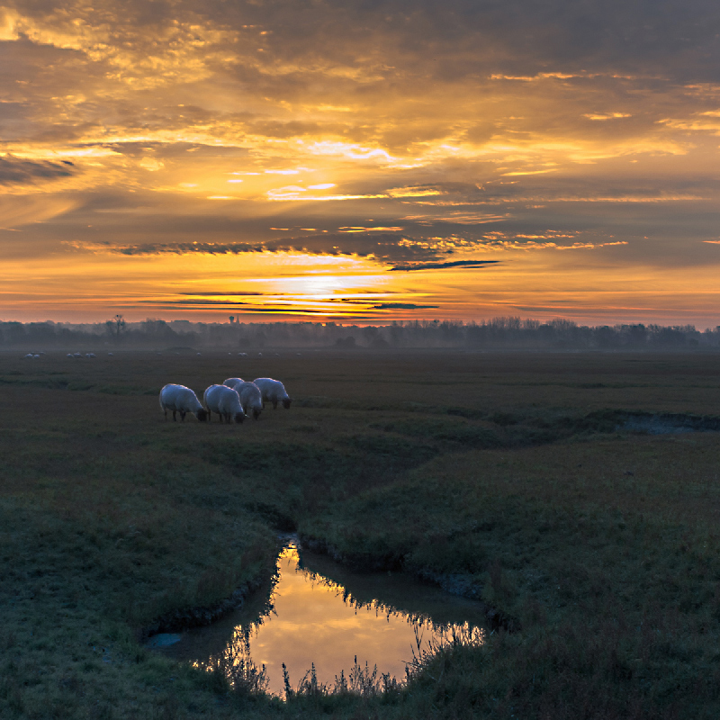 photo "....." tags: landscape, 
