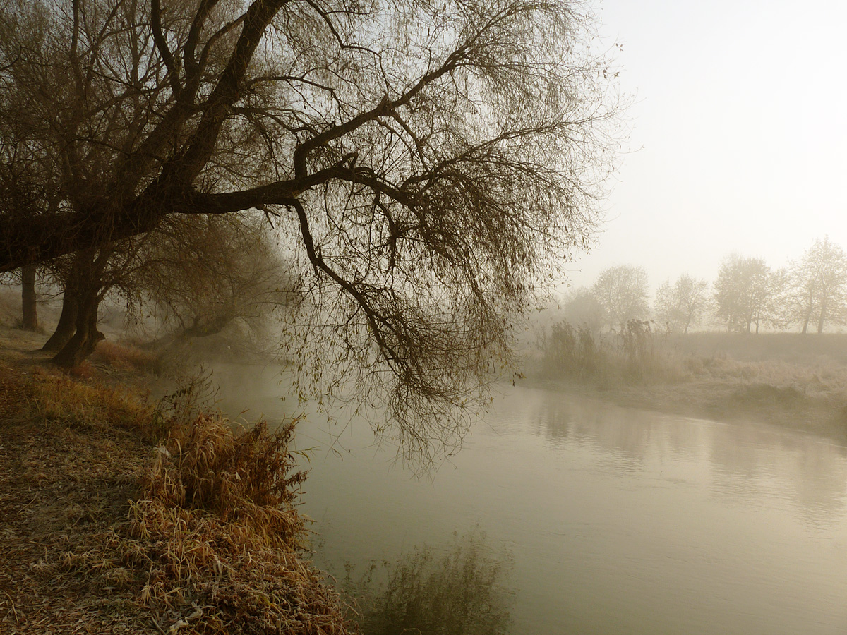 photo "***" tags: landscape, fog