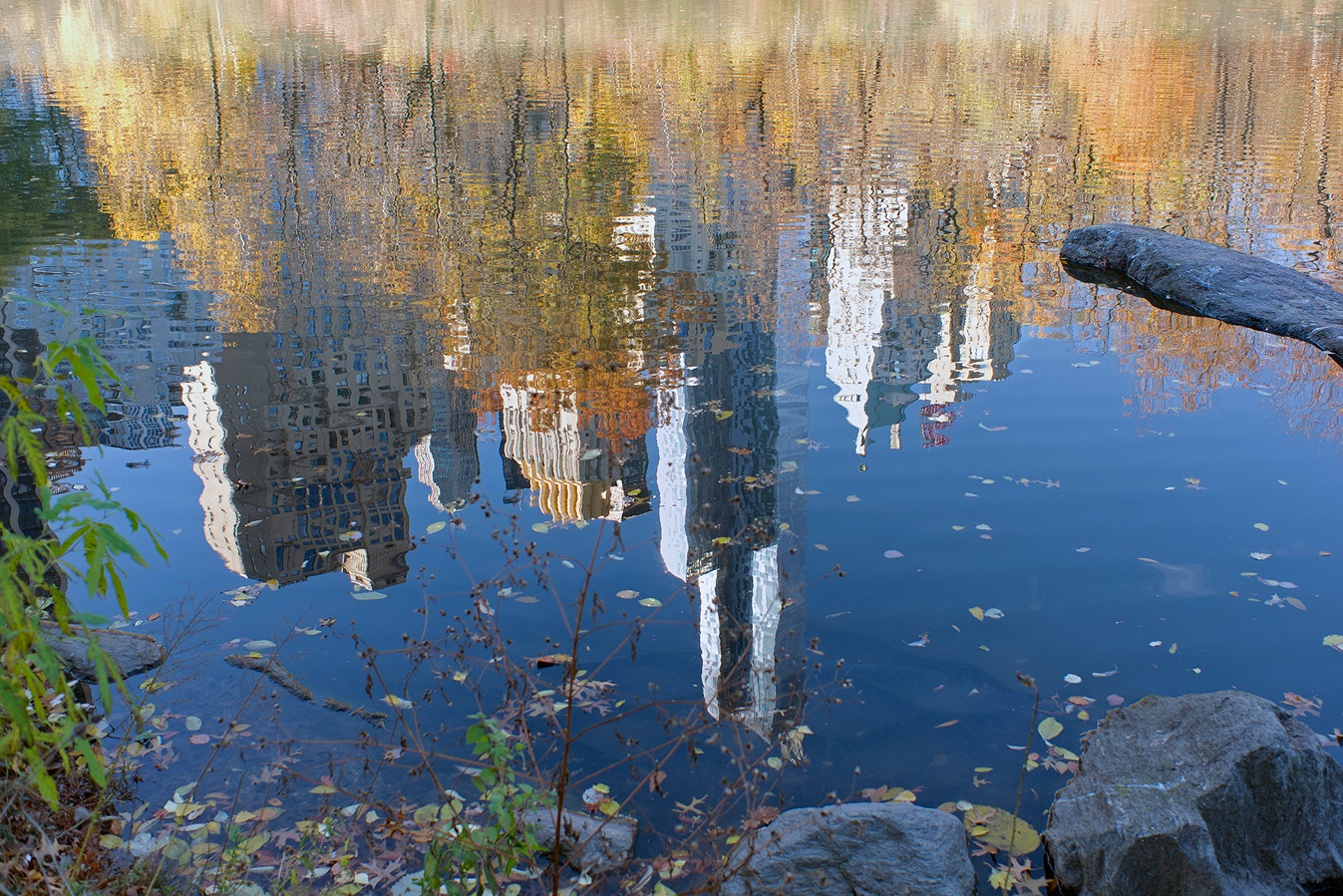 фото "Осеннее отражение" метки: разное, Нью-Йорк, осень