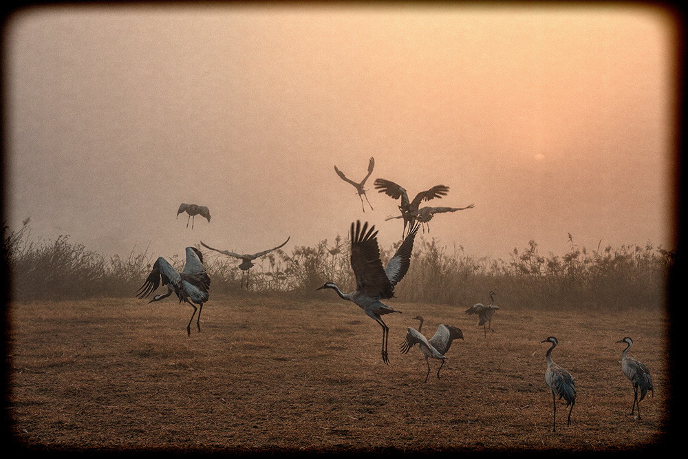 photo "Retro on the lake" tags: nature, 