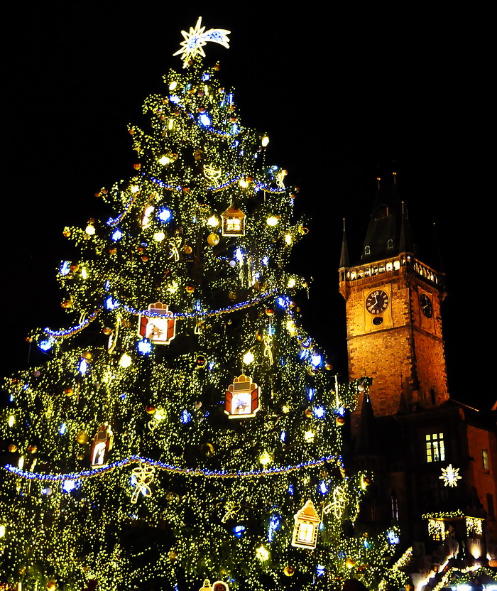 photo "Рождественский поздравление из Праги" tags: city, Prag, Prague, Praha