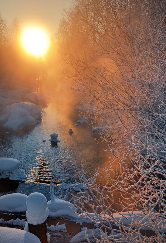 photo "***" tags: landscape, forest, water, winter