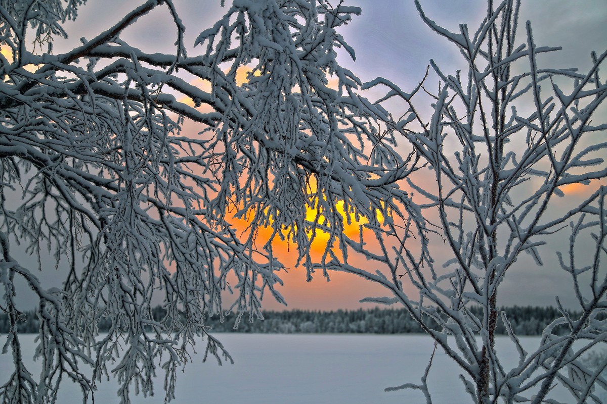 photo "***" tags: landscape, nature, travel, forest, winter