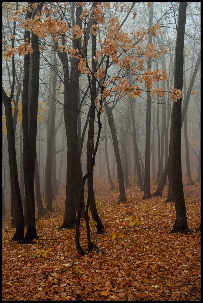 фото "Осень..." метки: пейзаж, 