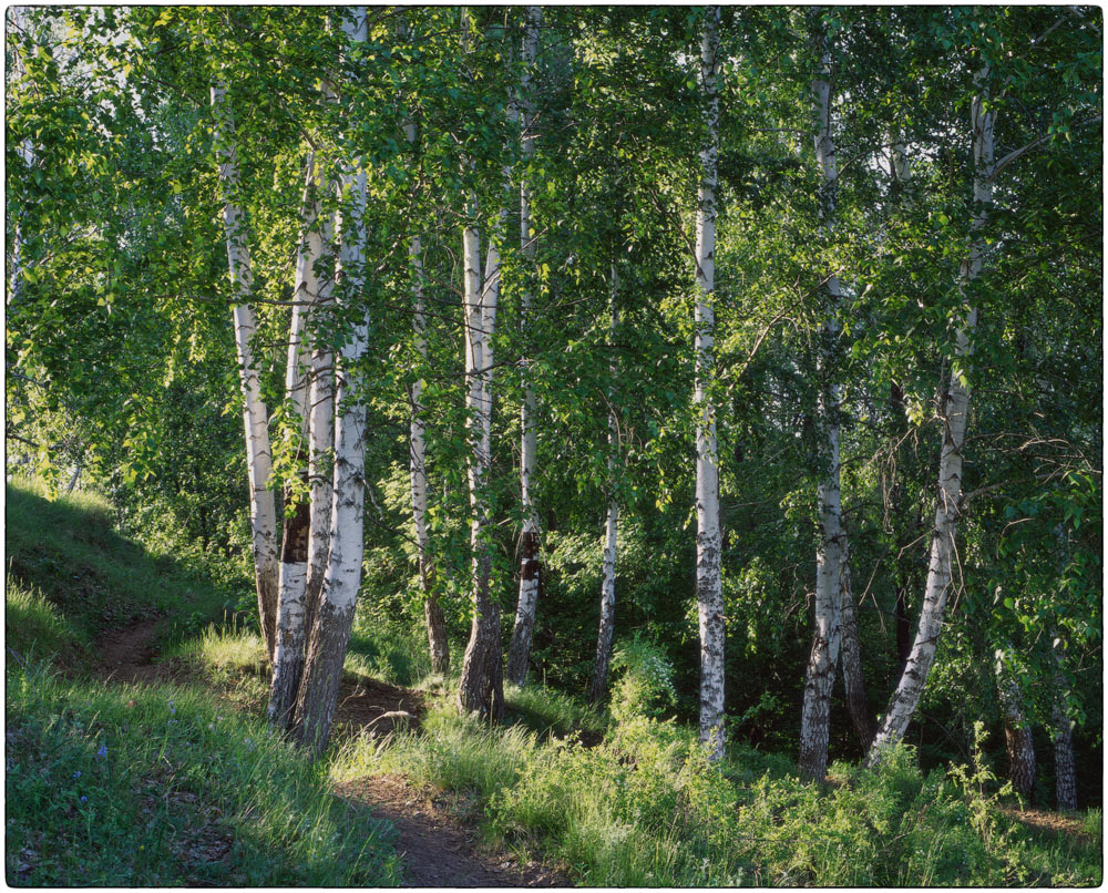 photo "***" tags: nature, landscape, 120, 6x7, FUJICHROME Velvia 50, Mamiya RZ67