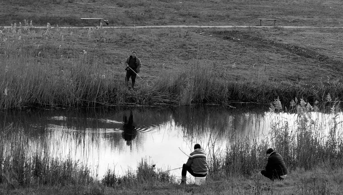 photo "***" tags: nature, genre, black&white, 