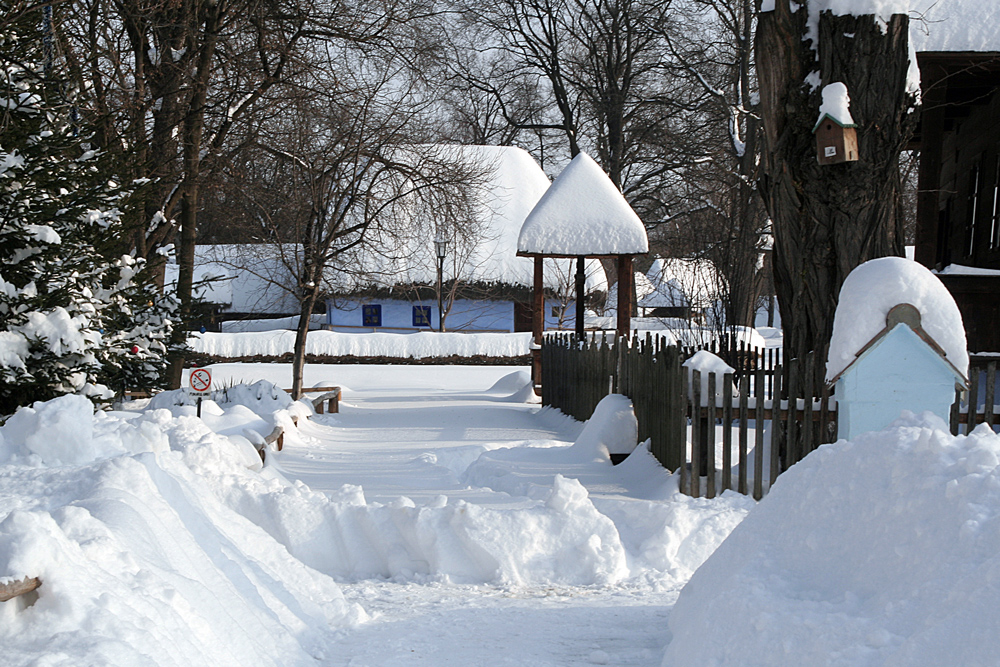 photo "Snowy village" tags: landscape, house, snow, village, winter