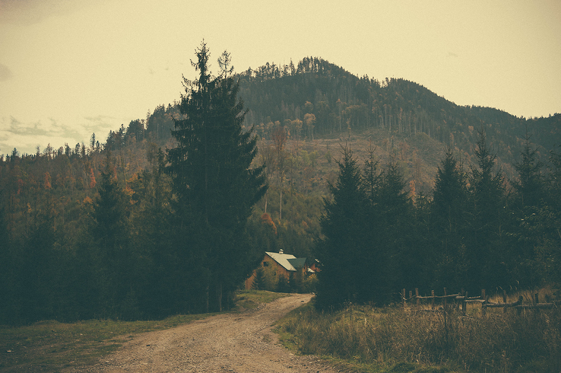 фото "Road" метки: пейзаж, архитектура, путешествия, forrest, дорога, лес