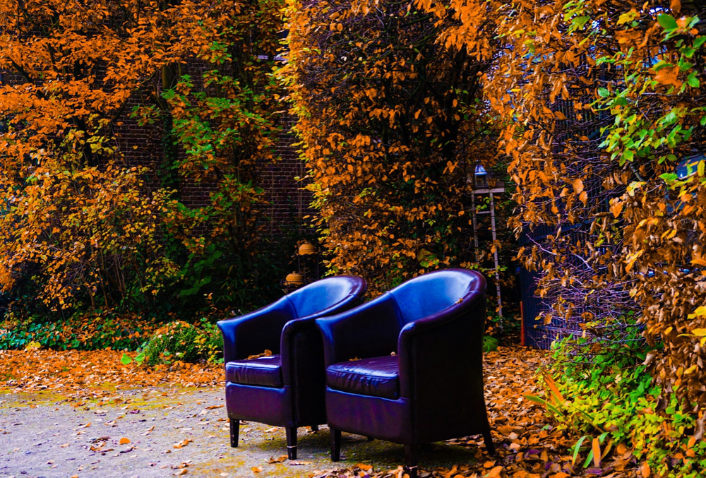 photo "Seats in nature" tags: landscape, nature, misc., 