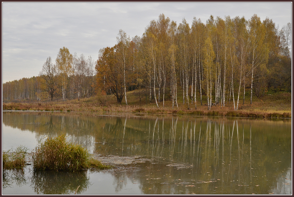 фото "Пейзаж пасмурного дня" метки: пейзаж, Абрамцево, осень, пруд