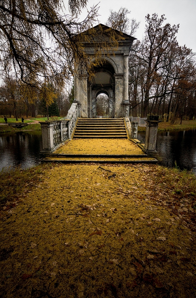 photo "***" tags: travel, Europe, Sony-a580, St. Petersburg, Tokina 11-16, autumn, curier, sky, Пушкин, день, лиственница