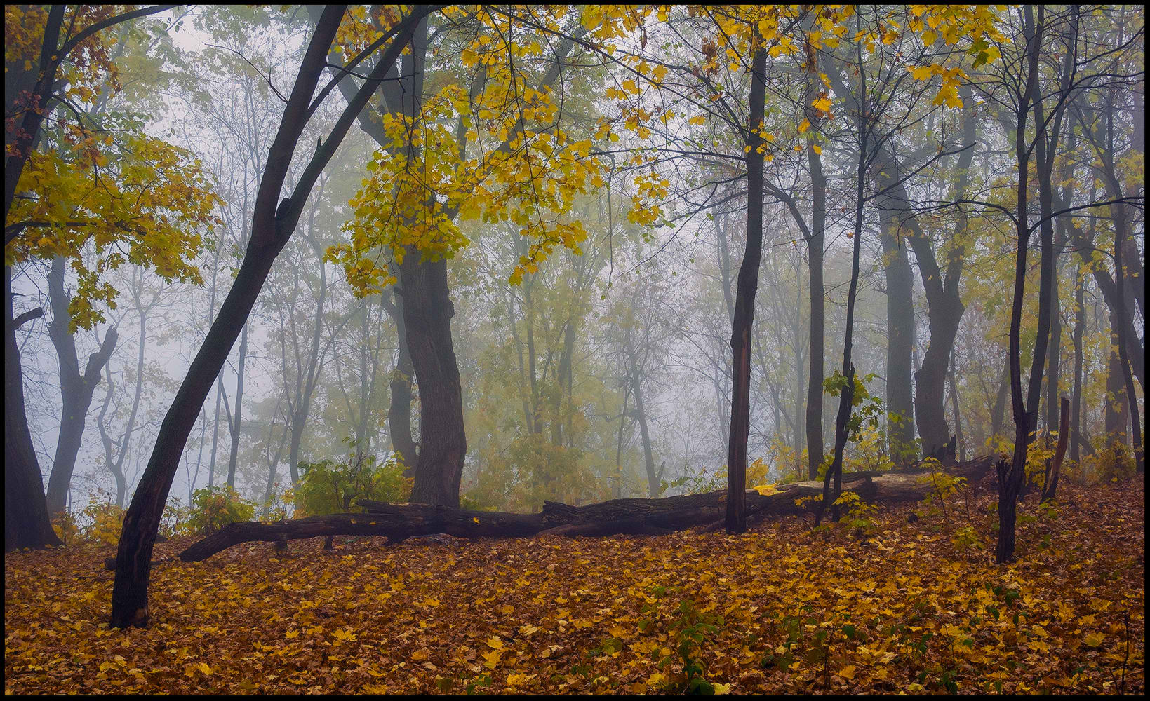 фото "Осень..." метки: пейзаж, 