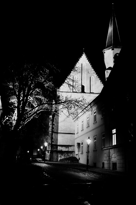 photo "Ночной дерево, костёл и дом" tags: black&white, Prag, Prague, Praha