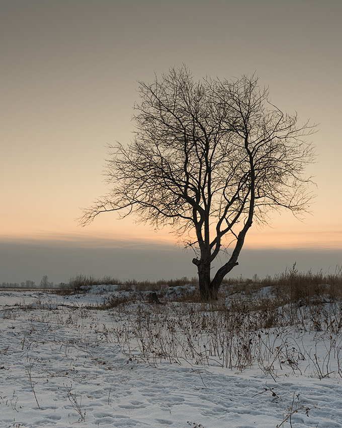 photo "***" tags: landscape, 
