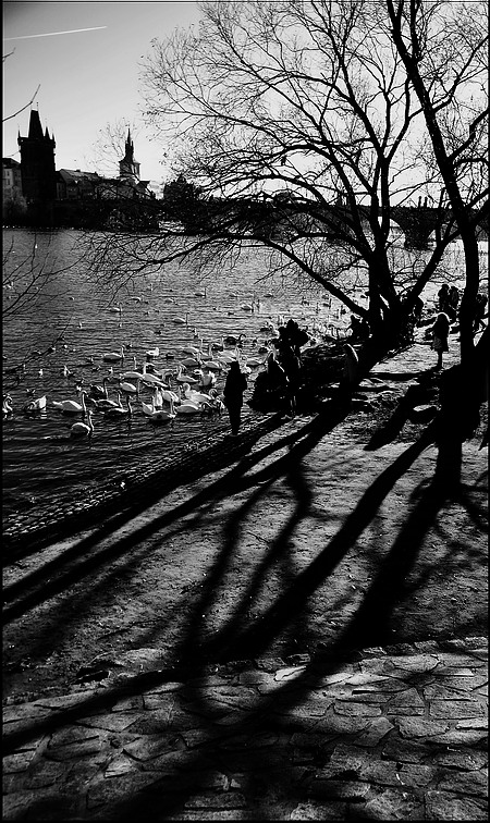 photo "На берегу" tags: black&white, Prag, Prague, Praha