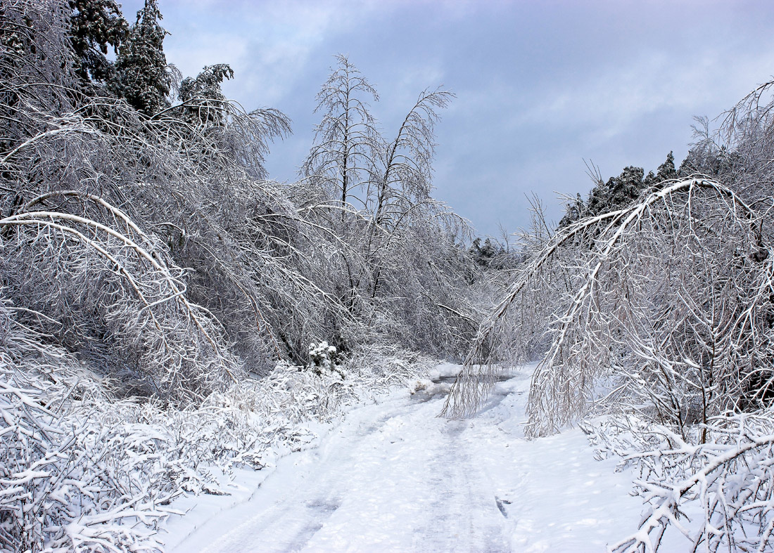 photo "***" tags: landscape, snow, только, январе