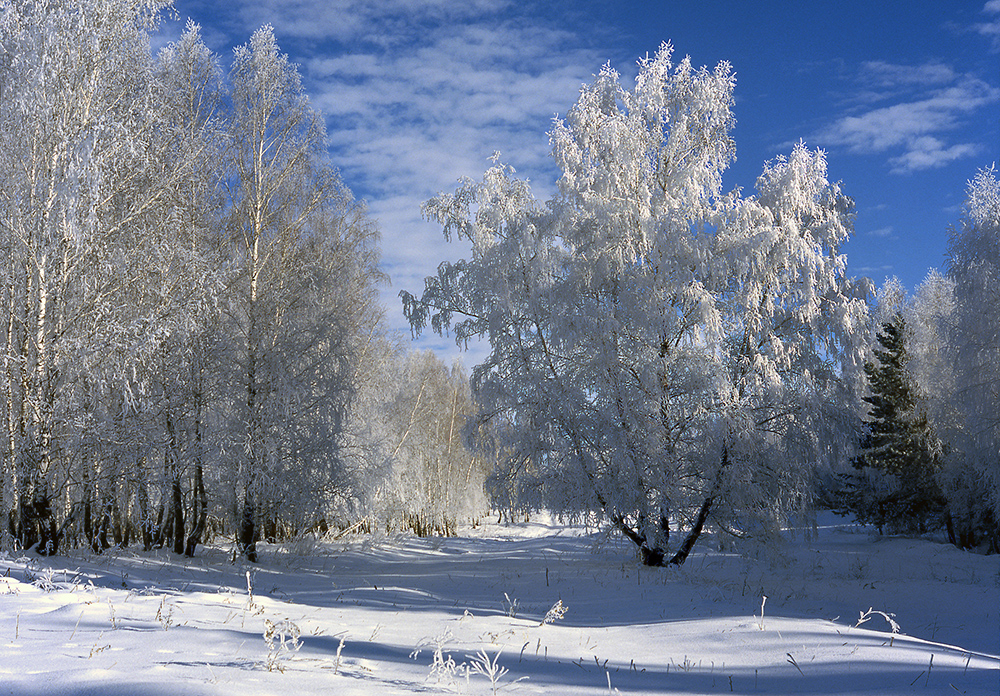 фото "***" метки: , 