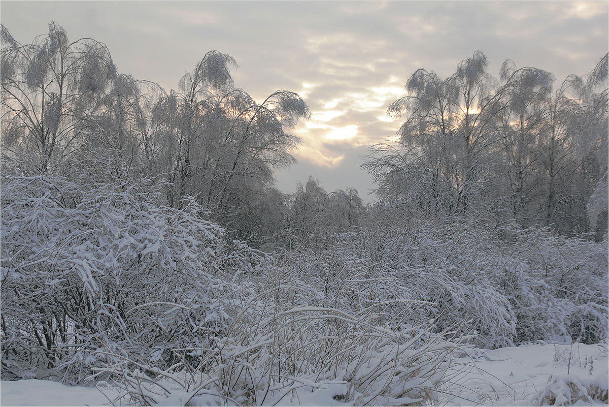 photo "The White dream" tags: landscape, nature, 