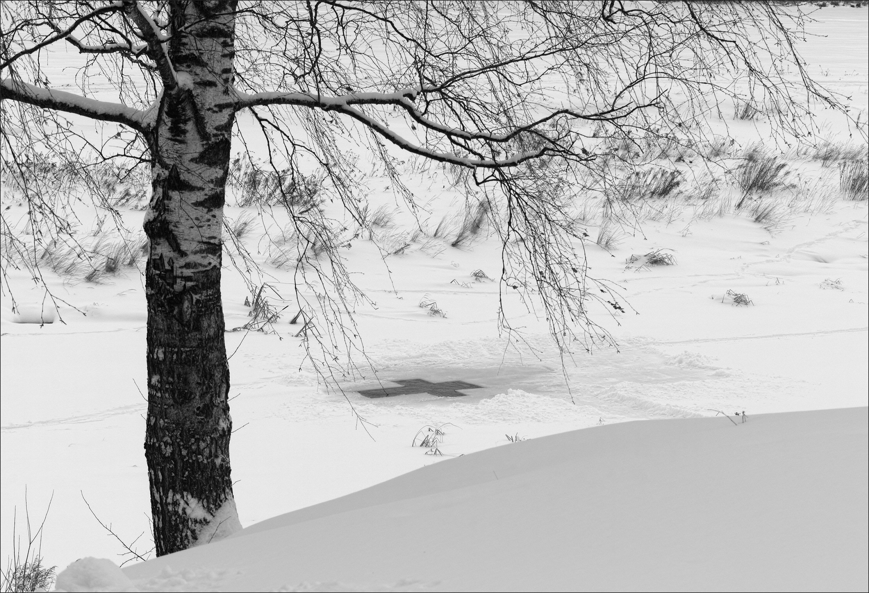 photo "***" tags: landscape, nature, black&white, 