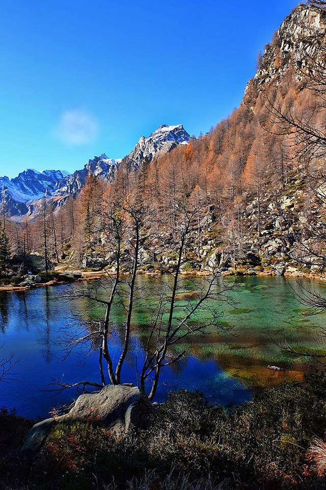 фото "Alpe" метки: пейзаж, 