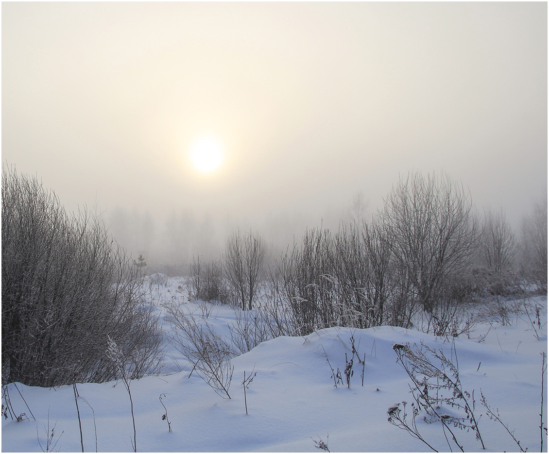 photo "On the morning of January." tags: landscape, morning, winter, январь