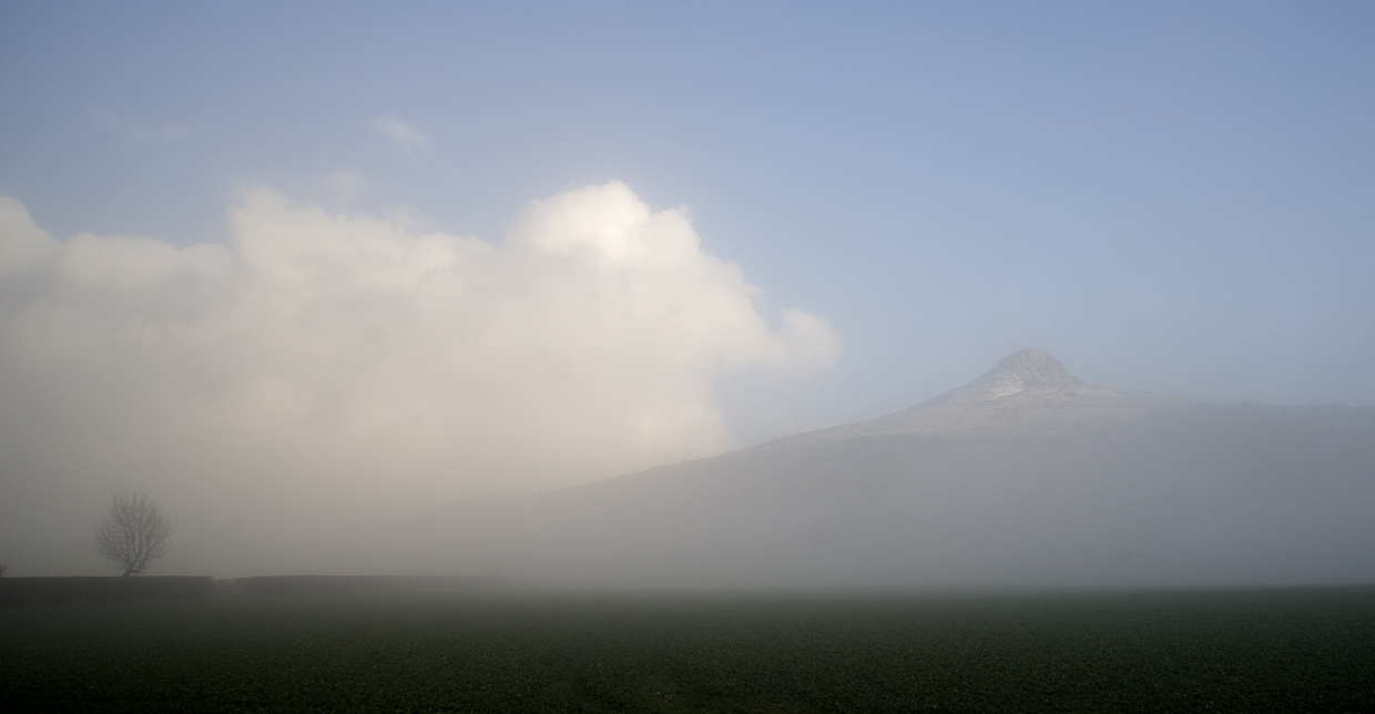 фото "Туман и солнце..." метки: пейзаж, природа, 