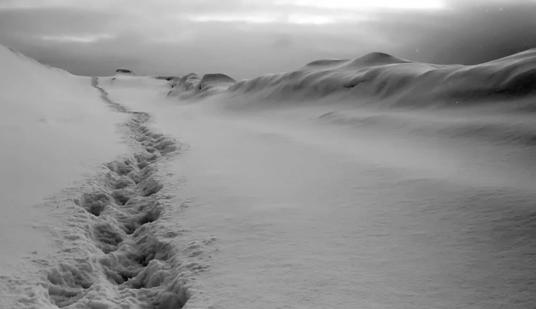 photo "***" tags: misc., winter, чёрно-белое