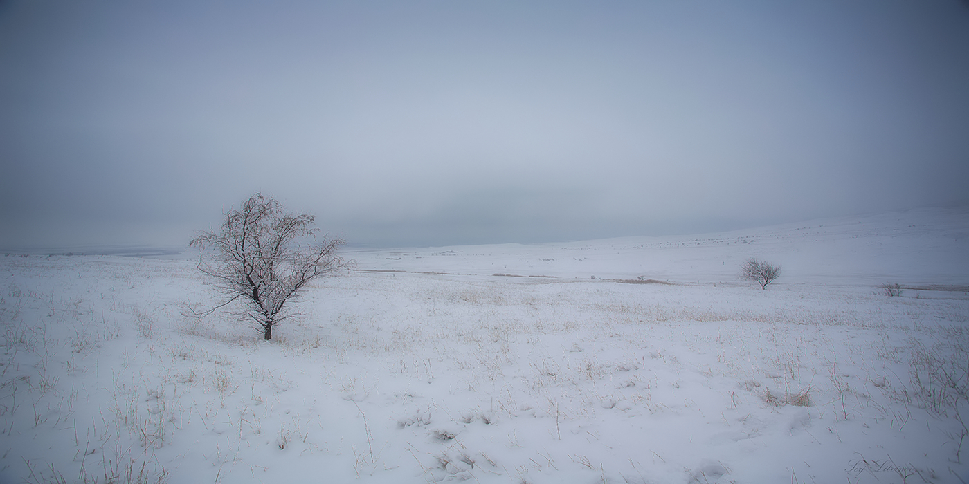 фото "Снежное безмолвие ..." метки: пейзаж, 