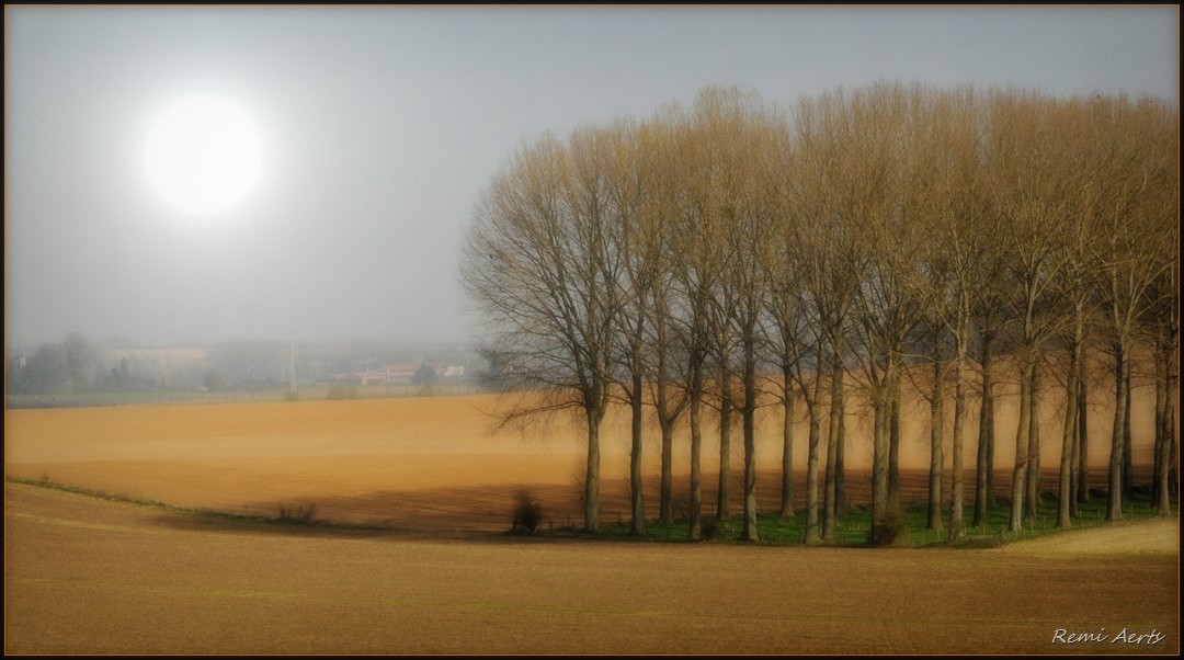 photo "***" tags: landscape, nature, 