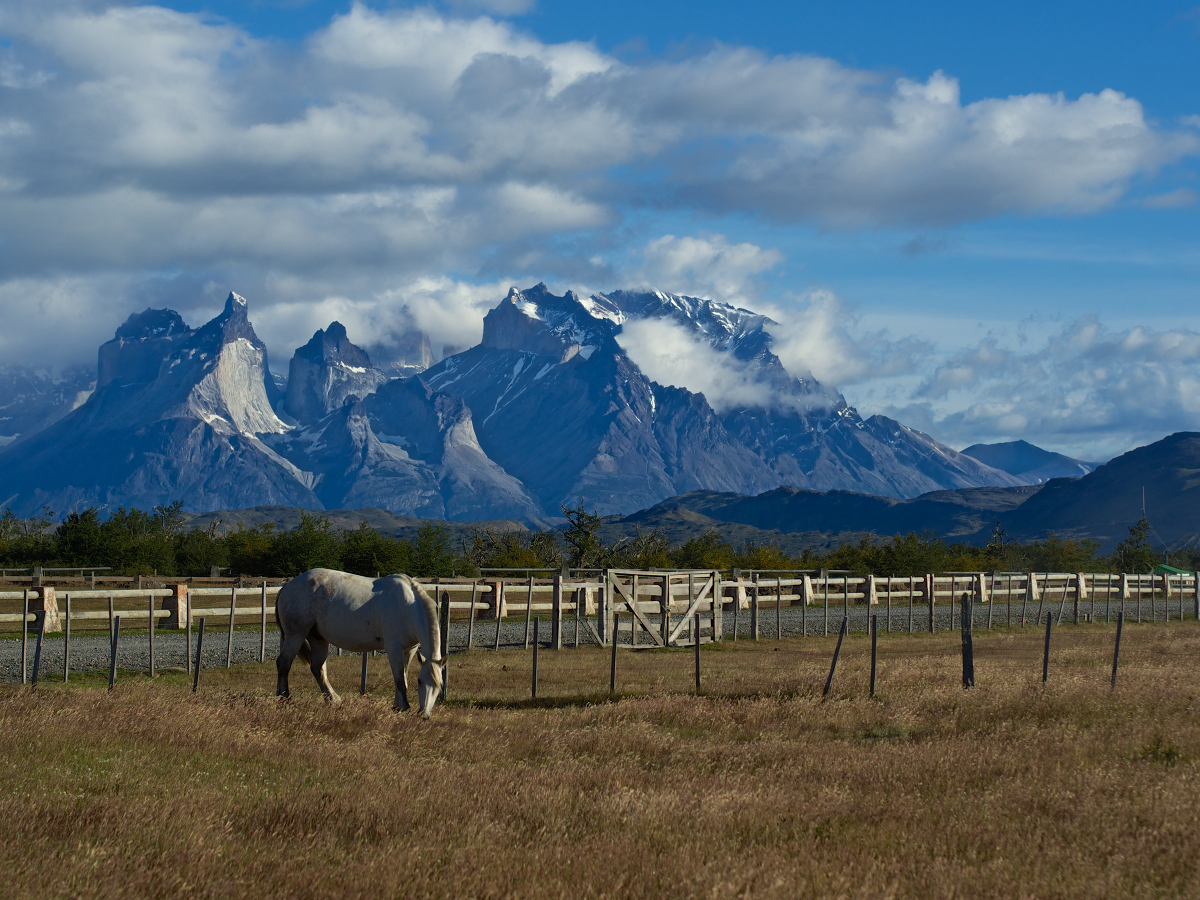 photo "***" tags: landscape, travel, mountains, Патагония, Торрес дель Пайне, Чили