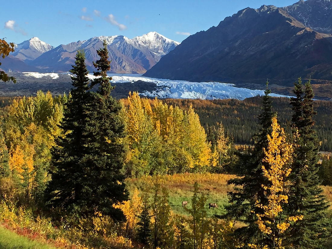 фото "Ледник" метки: пейзаж, природа, путешествия, Alaska, Северная Америка, горы, дикие животные