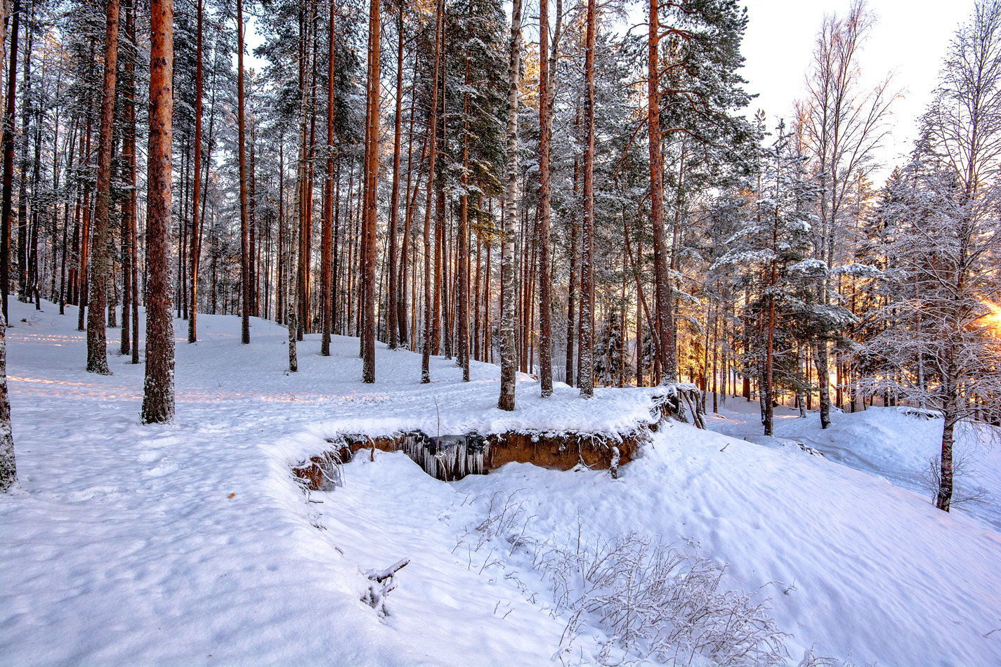 photo "***" tags: landscape, travel, Russia, forest, snow, sun, sunset, winter