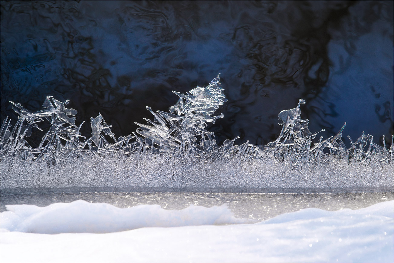 фото "Ледяные "баталии"" метки: макро и крупный план, природа, 