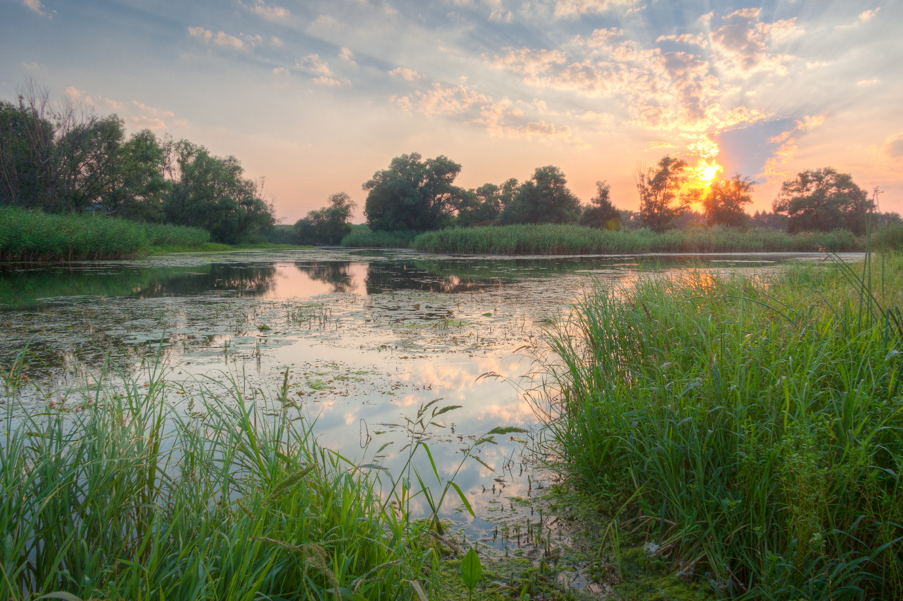 photo "***" tags: landscape, nature, 