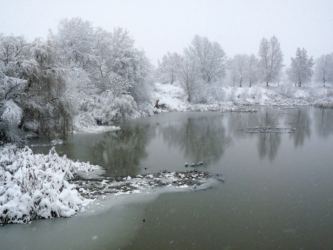 photo "***" tags: nature, winter