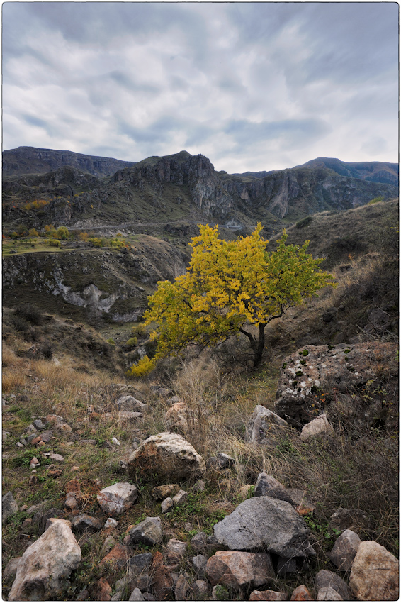 photo "***" tags: landscape, Georgia, Tmogvi
