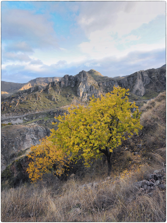photo "***" tags: landscape, Georgia, Tmogvi