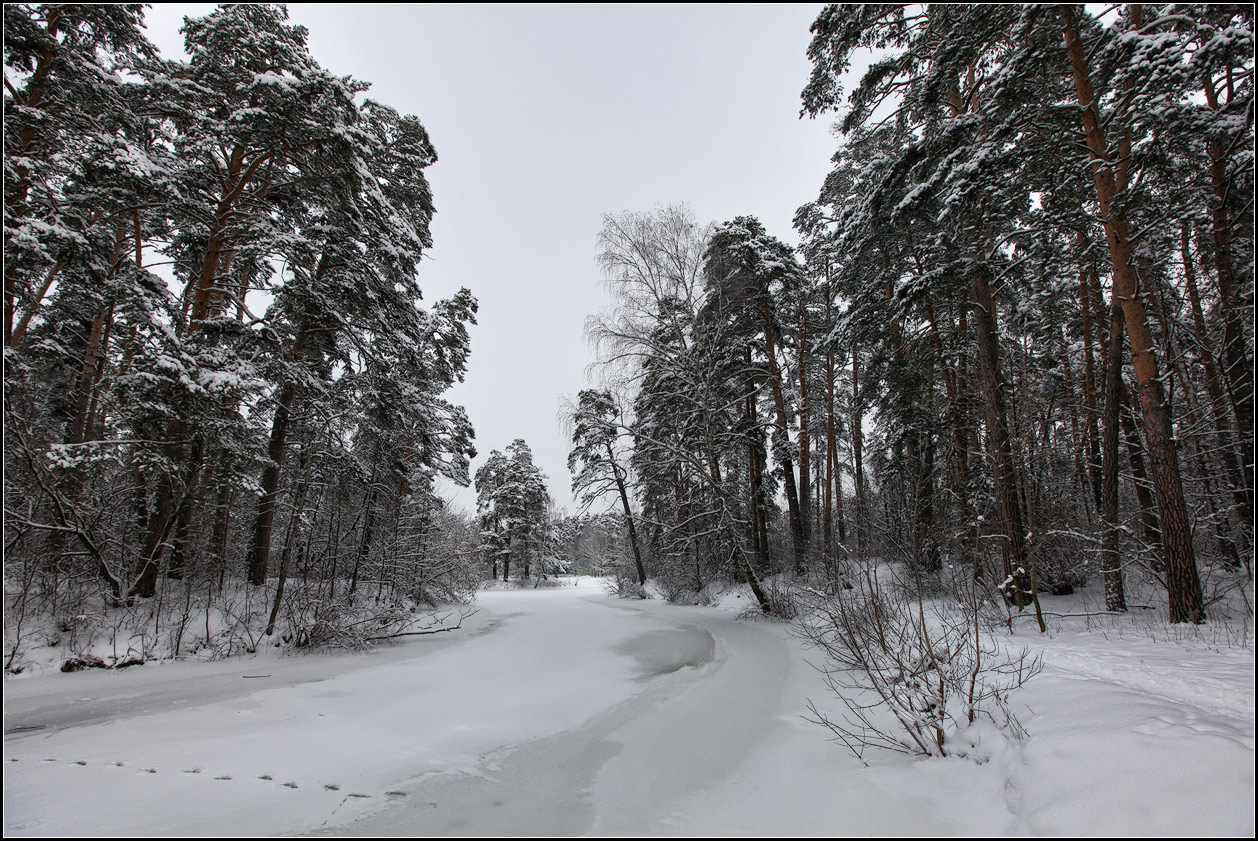 фото "зимний день" метки: пейзаж, природа, 