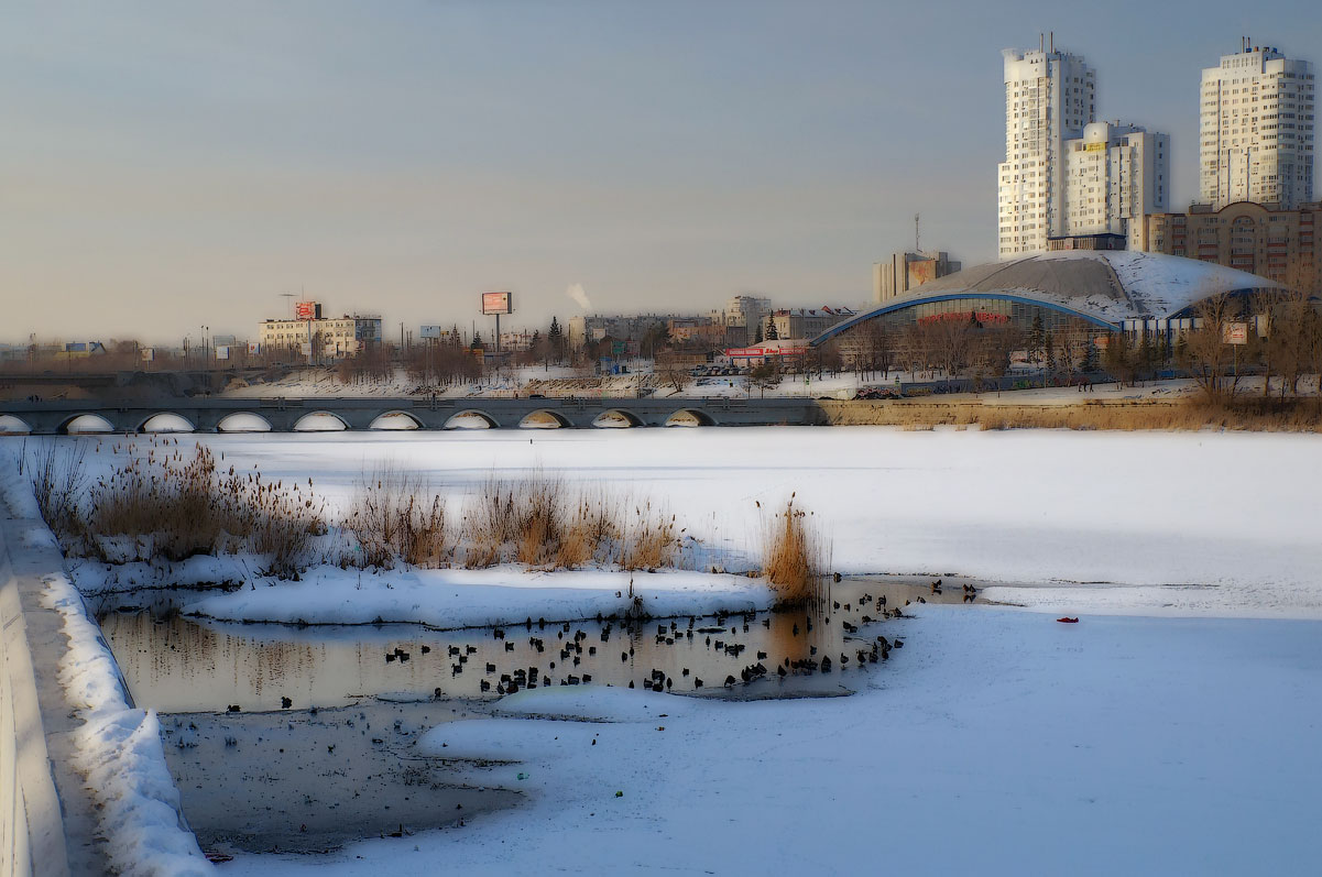 photo "Lake hope" tags: city, nature, winter, утки